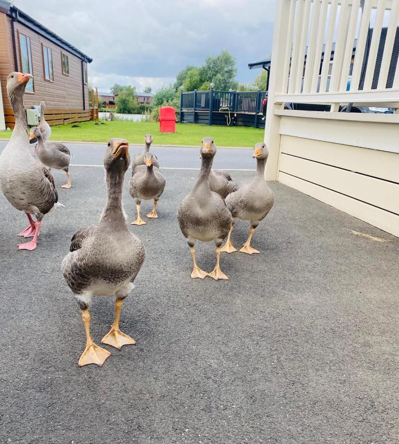 Tattershall Lakes Mini Breaks - Osprey Rise Hotel Exterior photo